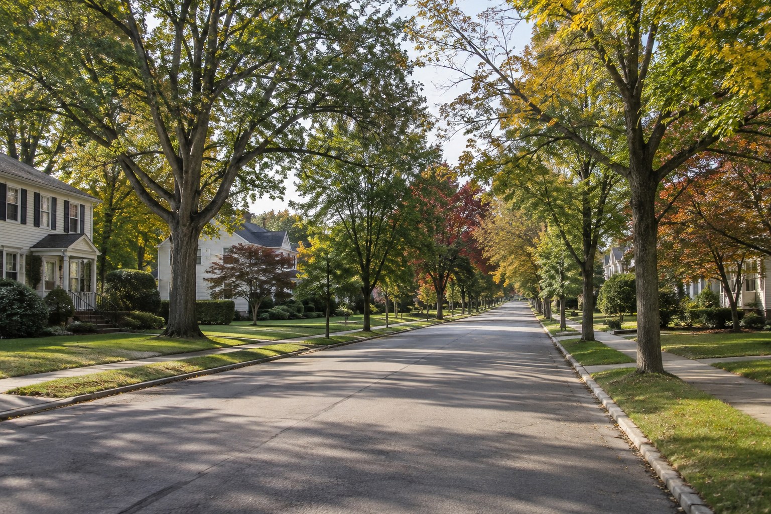 A tree lined Central New Jersey street in the morning